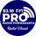Radio Pro 93.10 FM Purwakarta