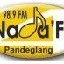 Nadafa FM 91 Mhz