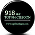 Radio 91.80 FM TOP FM Cilegon